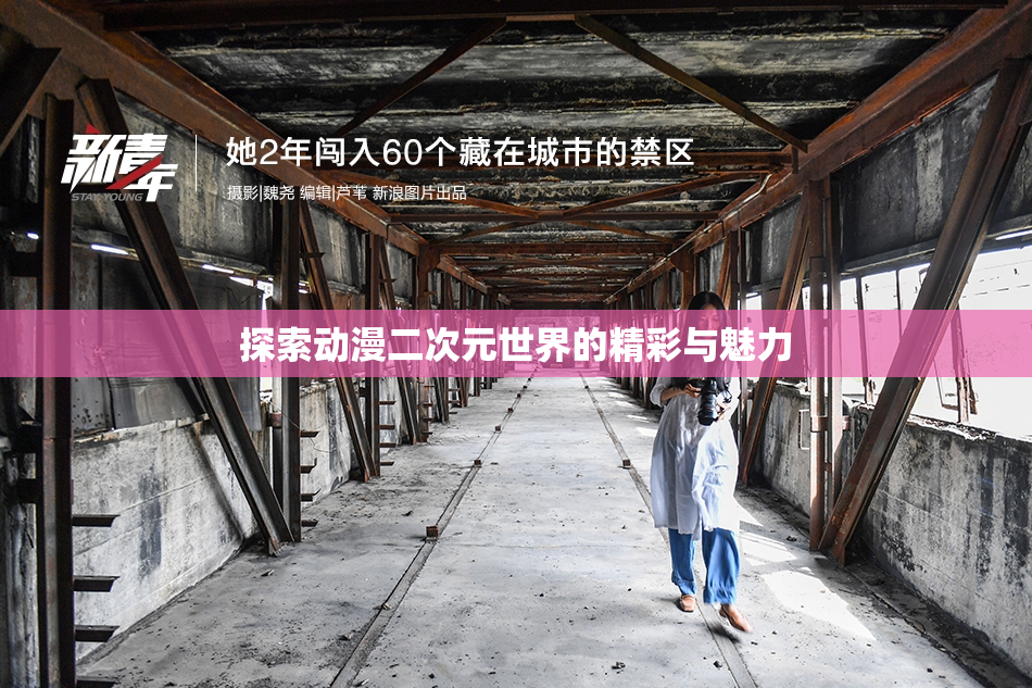 探索动漫二次元世界的精彩与魅力