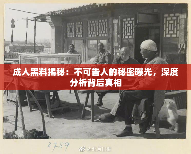 成人黑料揭秘：不可告人的秘密曝光，深度分析背后真相
