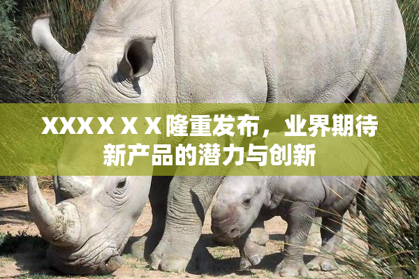 XXXⅩⅩⅩ隆重发布，业界期待新产品的潜力与创新
