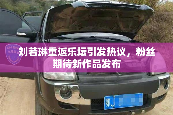 刘若琳重返乐坛引发热议，粉丝期待新作品发布