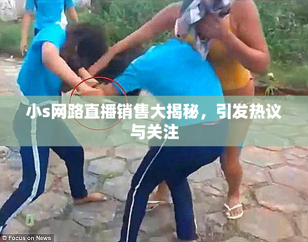 小s网路直播销售大揭秘，引发热议与关注