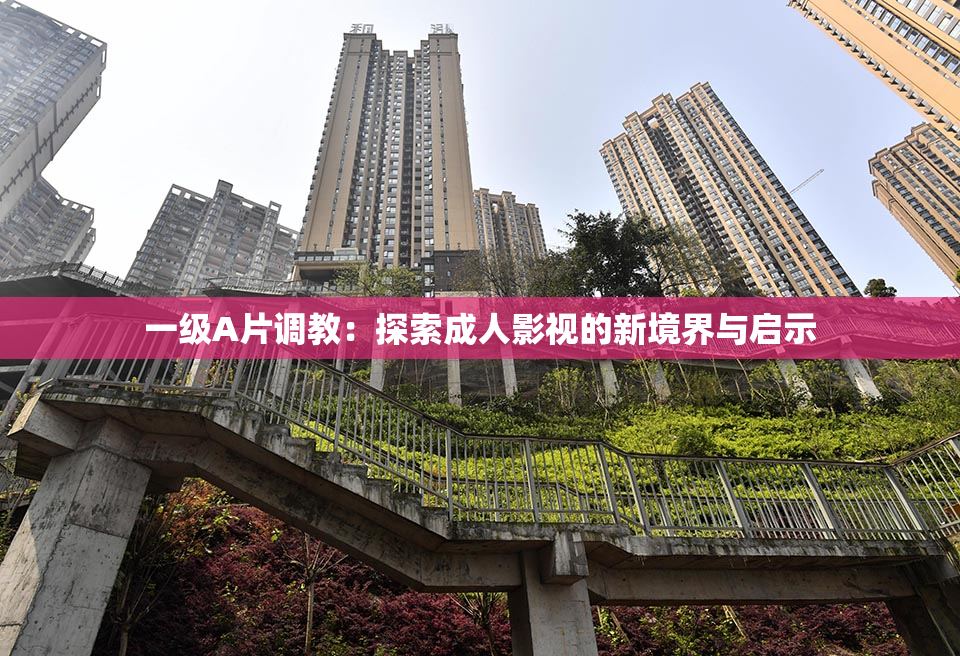 一级A片调教：探索成人影视的新境界与启示