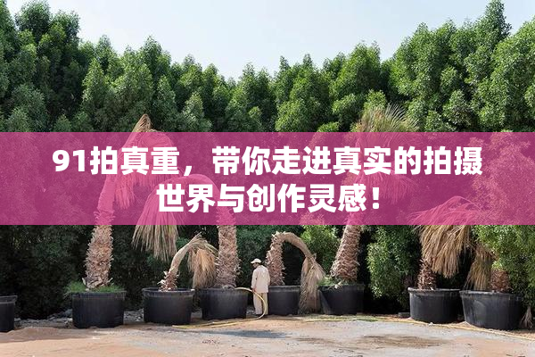 91拍真重，带你走进真实的拍摄世界与创作灵感！