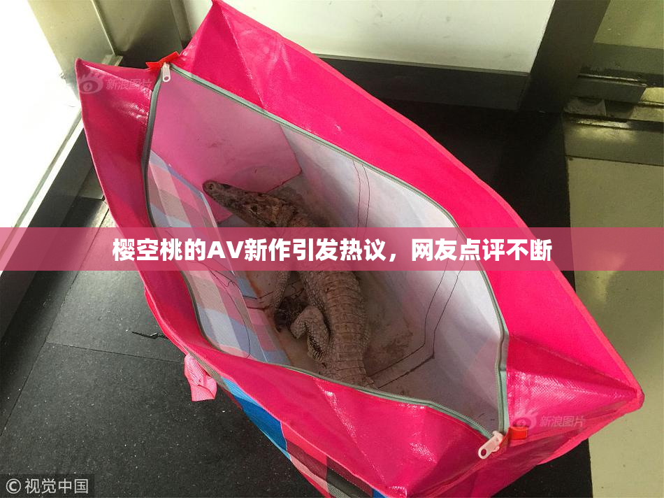 樱空桃的AV新作引发热议，网友点评不断