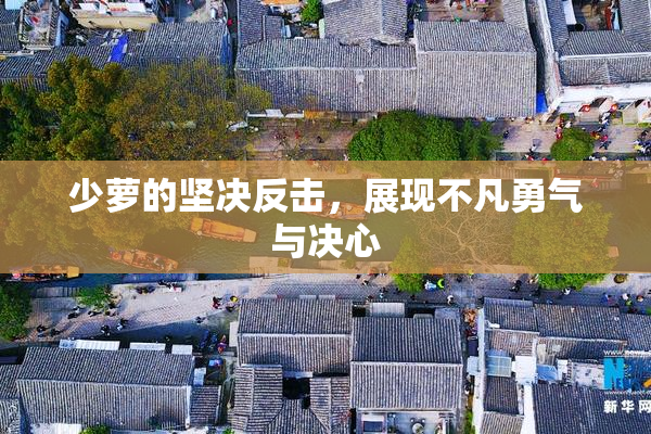 少萝的坚决反击，展现不凡勇气与决心