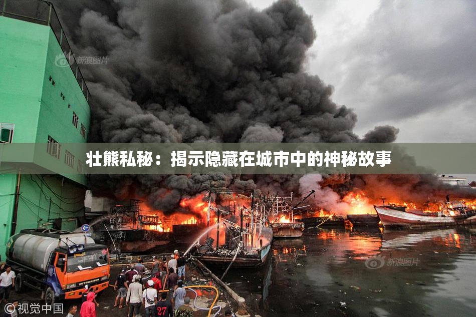 壮熊私秘：揭示隐藏在城市中的神秘故事