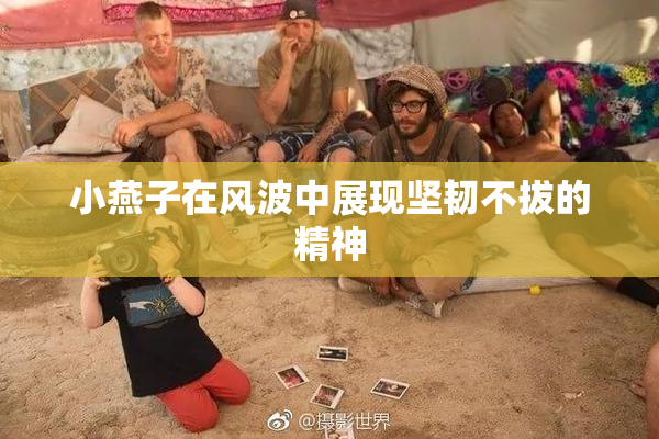 小燕子在风波中展现坚韧不拔的精神