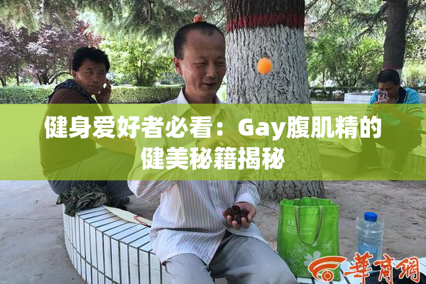 健身爱好者必看：Gay腹肌精的健美秘籍揭秘