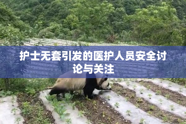 护士无套引发的医护人员安全讨论与关注