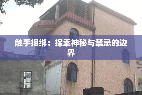 触手捆绑：探索神秘与禁忌的边界