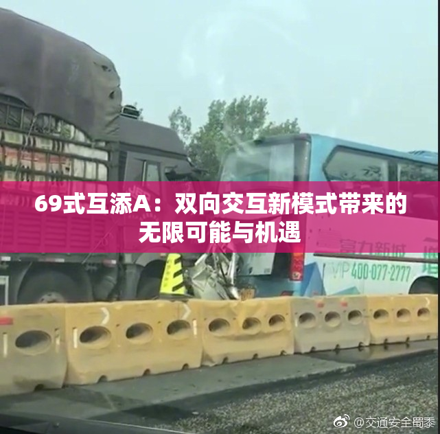 69式互添A：双向交互新模式带来的无限可能与机遇
