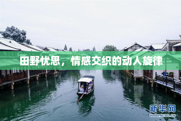 田野忧思，情感交织的动人旋律