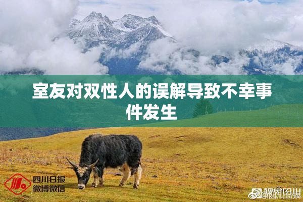 室友对双性人的误解导致不幸事件发生