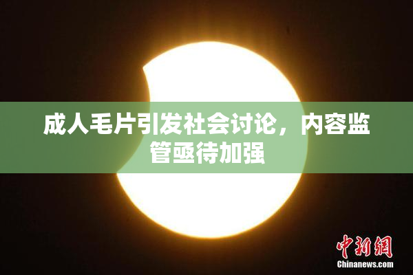 成人毛片引发社会讨论，内容监管亟待加强