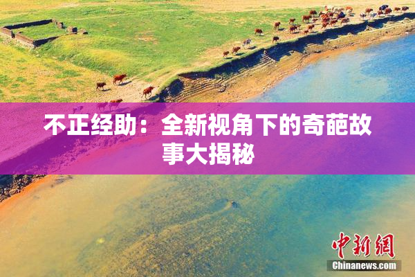 不正经助：全新视角下的奇葩故事大揭秘