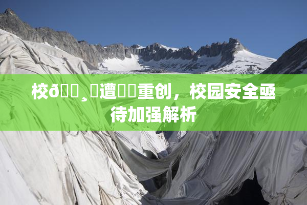 校🌸‌遭❌‌重创，校园安全亟待加强解析