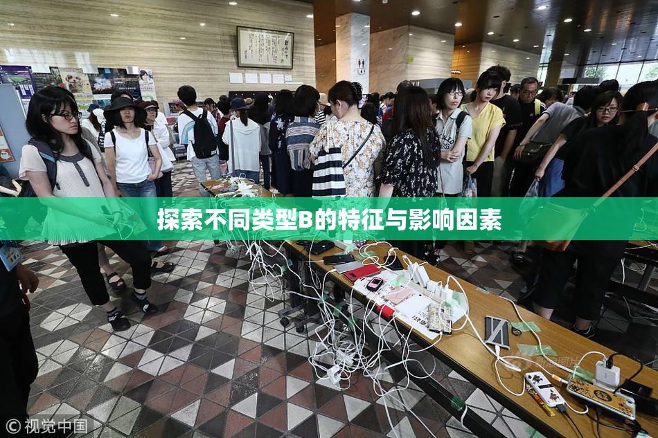 探索不同类型B的特征与影响因素