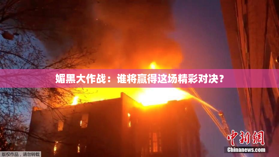 媚黑大作战：谁将赢得这场精彩对决？