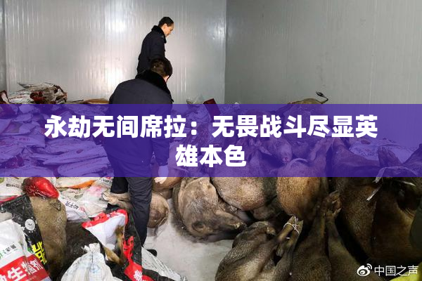 永劫无间席拉：无畏战斗尽显英雄本色