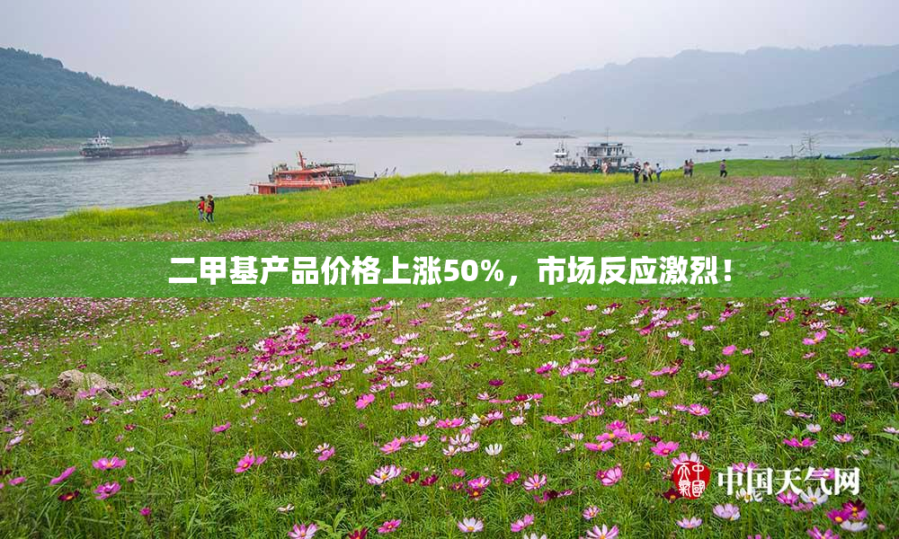 二甲基产品价格上涨50%，市场反应激烈！