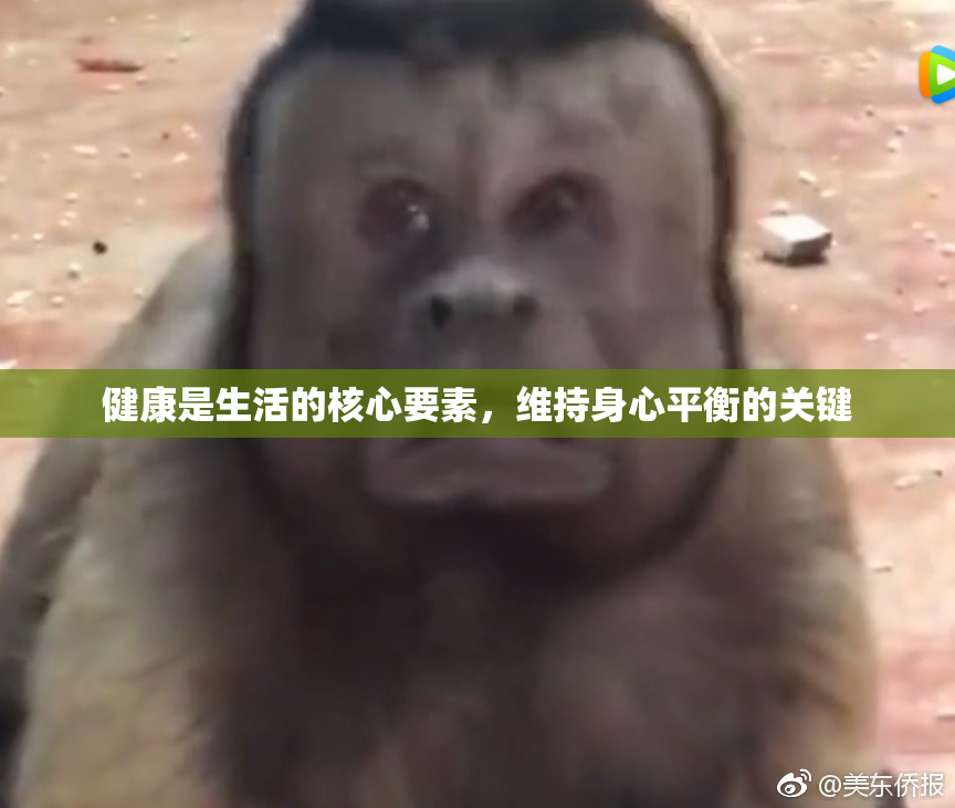 健康是生活的核心要素，维持身心平衡的关键