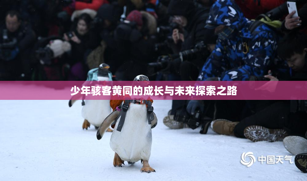 少年骇客黄同的成长与未来探索之路