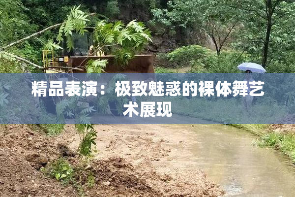 精品表演：极致魅惑的裸体舞艺术展现