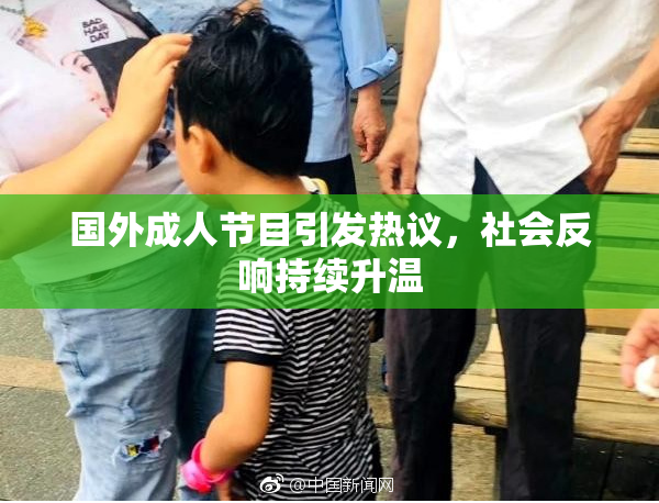 国外成人节目引发热议，社会反响持续升温