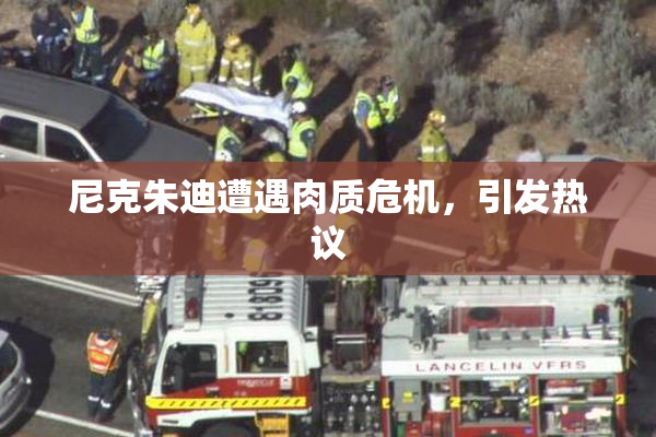 尼克朱迪遭遇肉质危机，引发热议