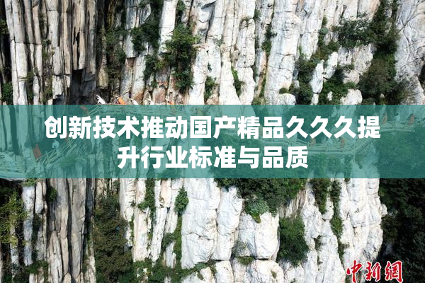 创新技术推动国产精品久久久提升行业标准与品质