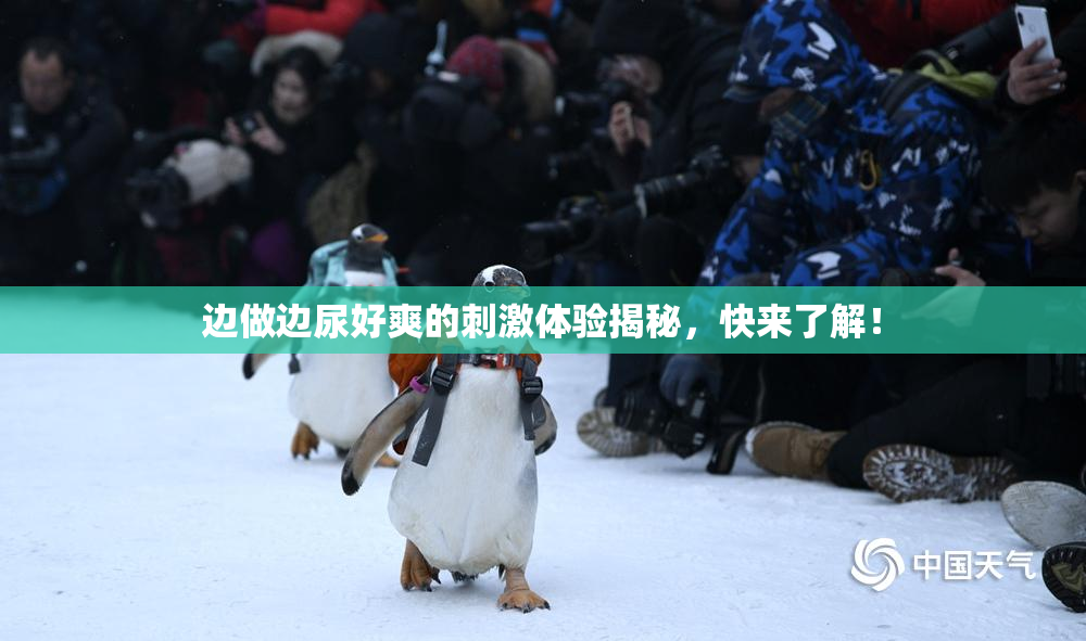 边做边尿好爽的刺激体验揭秘，快来了解！