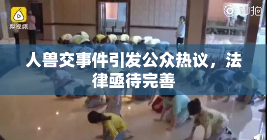 人兽交事件引发公众热议，法律亟待完善