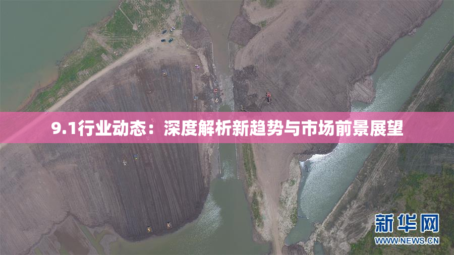 9.1行业动态：深度解析新趋势与市场前景展望