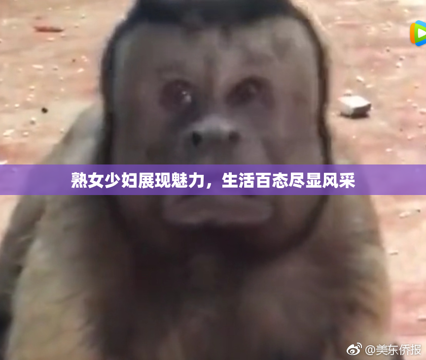 熟女少妇展现魅力，生活百态尽显风采