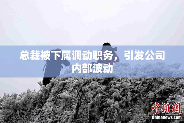 总裁被下属调动职务，引发公司内部波动