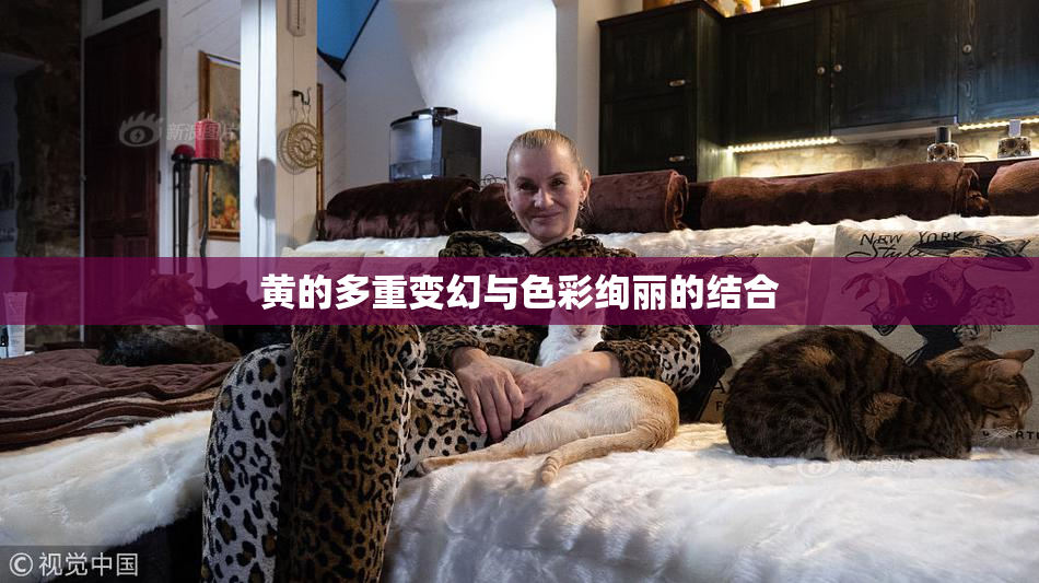黄的多重变幻与色彩绚丽的结合