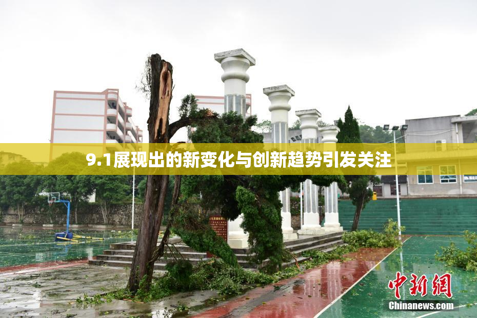 9.1展现出的新变化与创新趋势引发关注