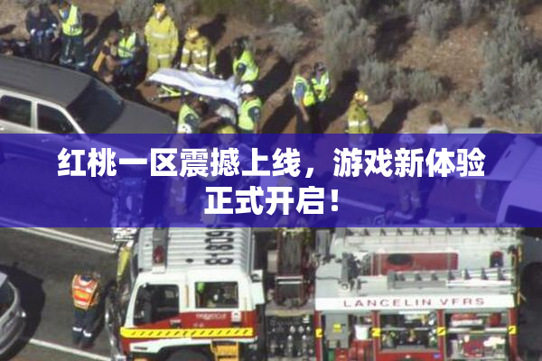 红桃一区震撼上线，游戏新体验正式开启！