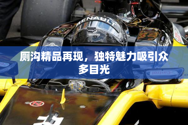 厕沟精品再现，独特魅力吸引众多目光