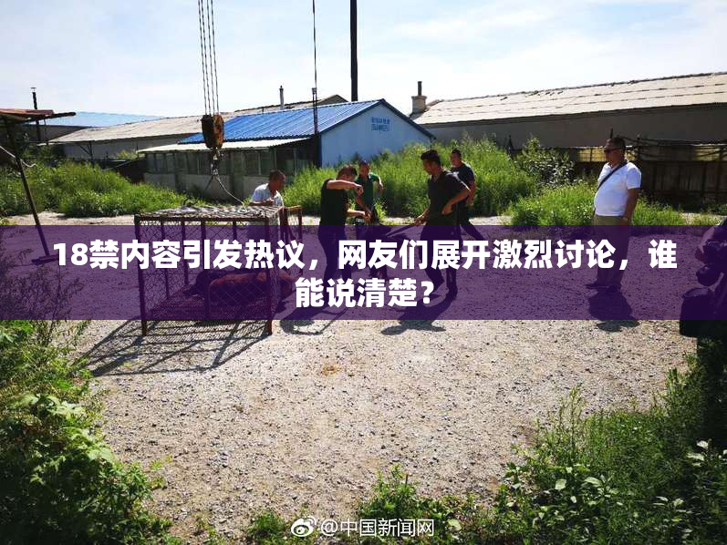 18禁内容引发热议，网友们展开激烈讨论，谁能说清楚？