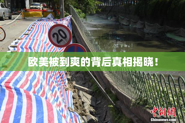 欧美被到爽的背后真相揭晓！