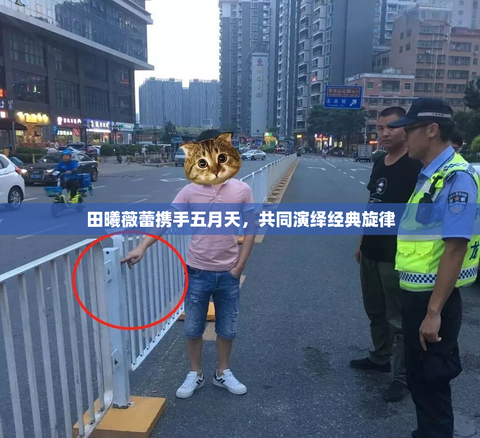田曦薇蕾携手五月天，共同演绎经典旋律