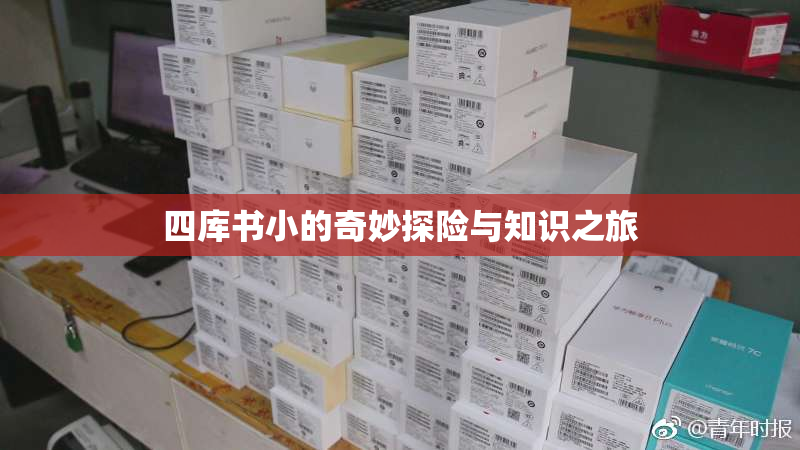 四库书小的奇妙探险与知识之旅