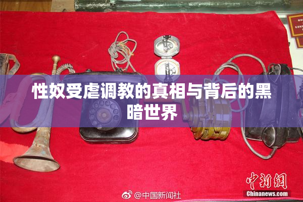 性奴受虐调教的真相与背后的黑暗世界