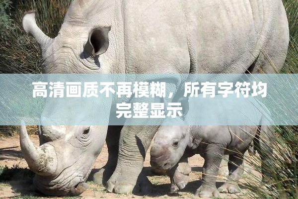 高清画质不再模糊，所有字符均完整显示