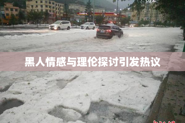 黑人情感与理伦探讨引发热议