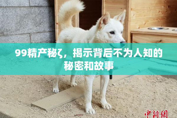 99精产秘ζ，揭示背后不为人知的秘密和故事