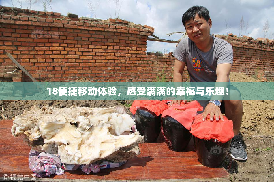18便捷移动体验，感受满满的幸福与乐趣！