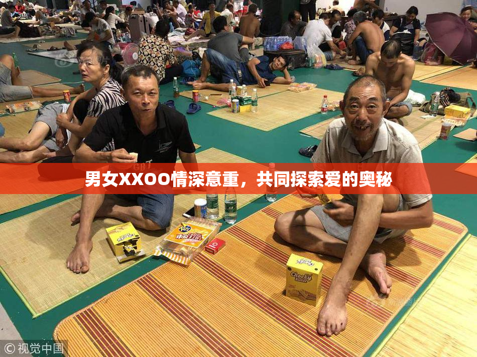 男女XXOO情深意重，共同探索爱的奥秘