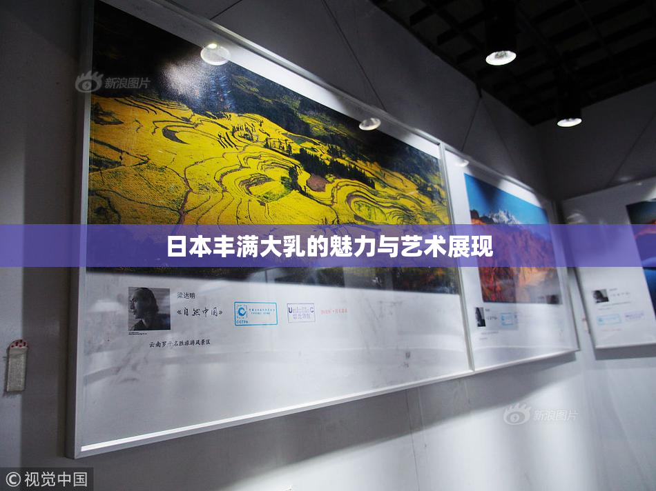 日本丰满大乳的魅力与艺术展现